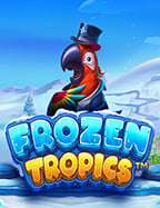 viewbet24 ดี ไหม? มาดูประสบการณ์กัน