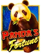 เว็บ แทง บอล ราคา ดี ที่สุด แนะนำ ทดลองเล่นฟรี