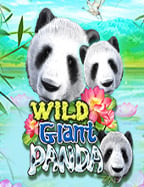 เข้า สู่ ระบบ ufabet123 plus twin: สูตรเล่นสล็อตออนไลน์